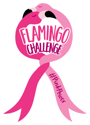 Flamingo Challenge Launch Party