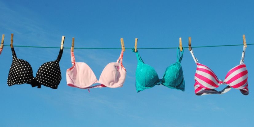 Bras For a Cause